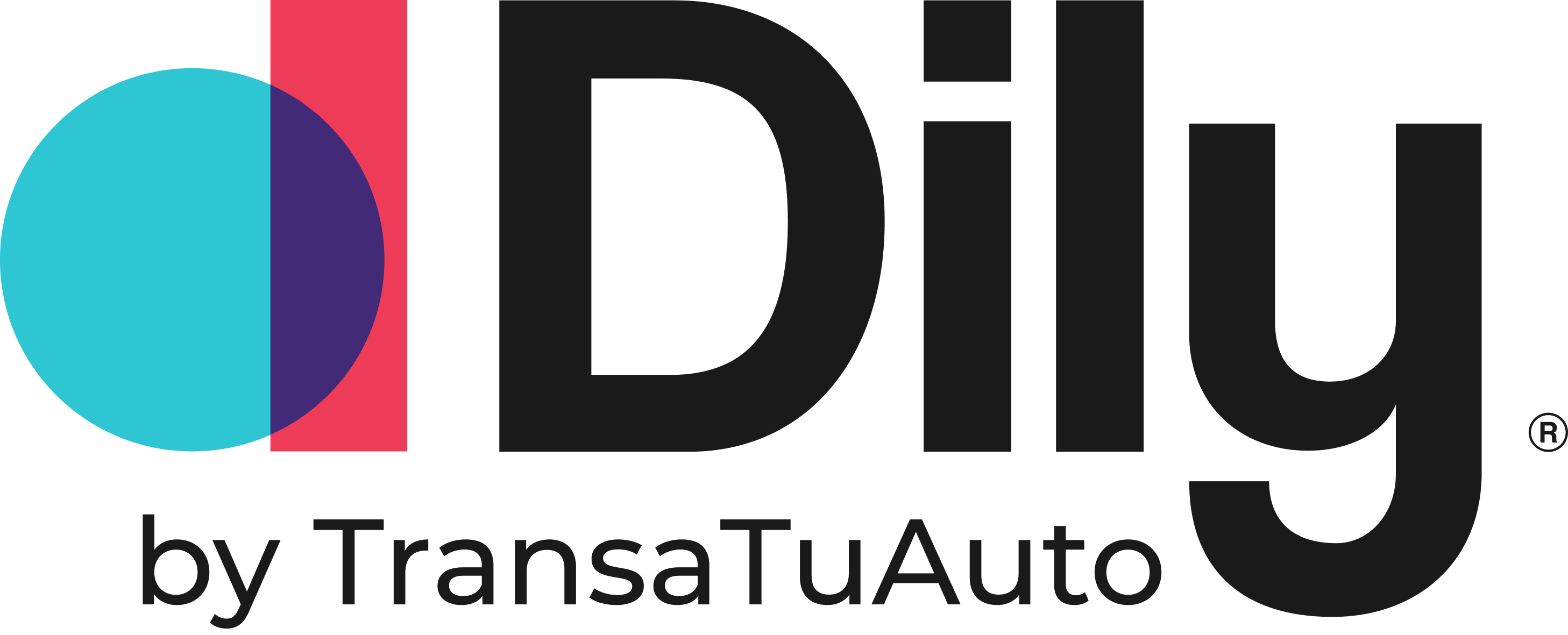 dilybytta_negro
